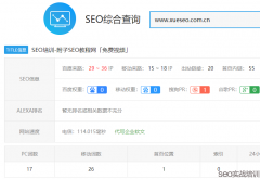 SEO排名提权实战操作,移动端SEO优化必学知识点